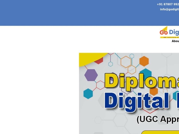 godigitalinstitute.com