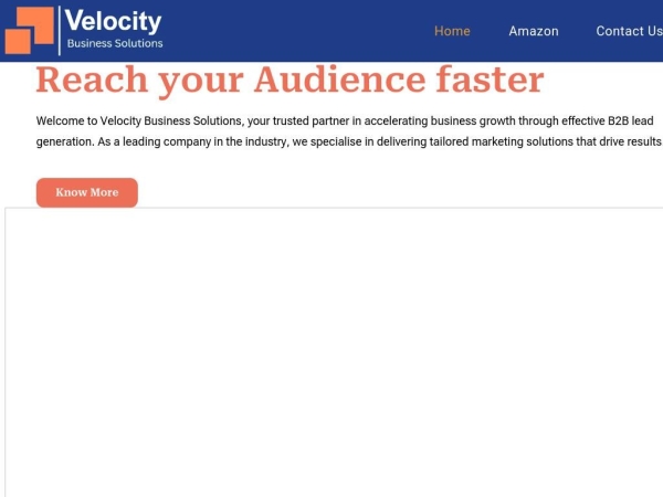 velocitybusinesssolutions.in